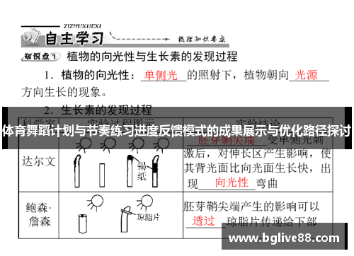 体育舞蹈计划与节奏练习进度反馈模式的成果展示与优化路径探讨