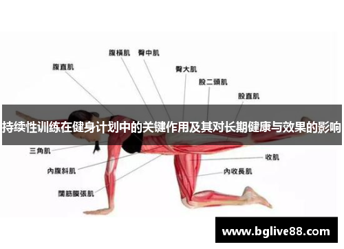 持续性训练在健身计划中的关键作用及其对长期健康与效果的影响